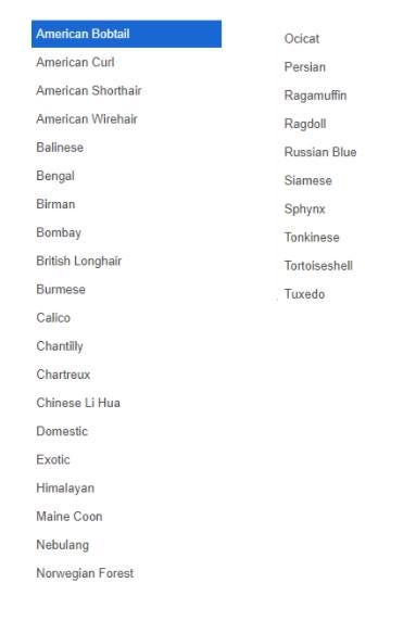 Personalized Pet Memorial Card - Pet Memorial Gift - Memorial Gift For Pet - Pet Remembrance Card - Dog Memorial Card - Cat Memorial Card