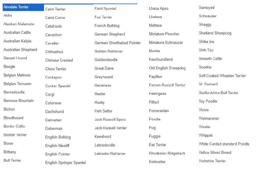 Personalized Pet Memorial Card - Pet Memorial Gift - Memorial Gift For Pet - Pet Remembrance Card - Dog Memorial Card - Cat Memorial Card