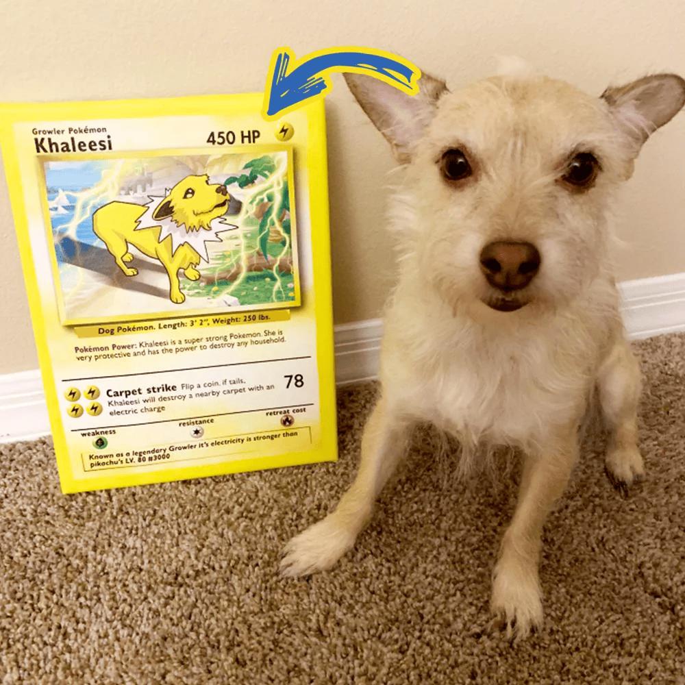 Pokepet Hand-Drawn Pet Art Card - Pokify your Pet - Gold Pet Card - Personalized Pet Metal Cards- Perfect Gift for Any Poke Lover