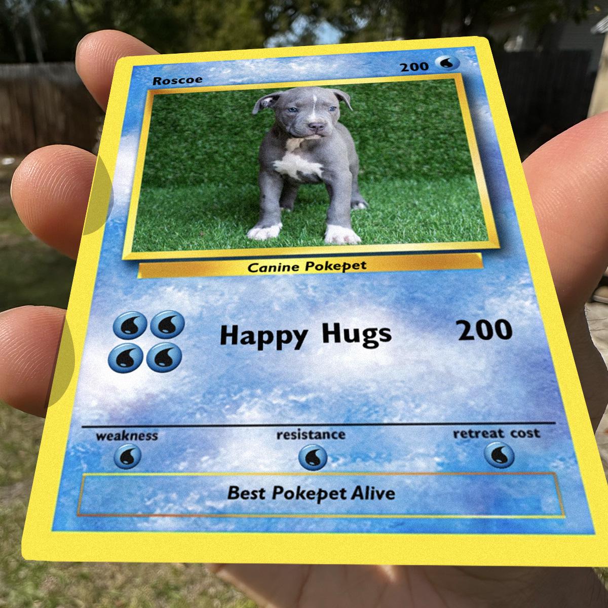 Pokepet Photo Card: Add Your Pets To Our Poke Cards - Personalized Pet Metal Cards- Perfect Gift for Any Occasion - Memorable keepsake
