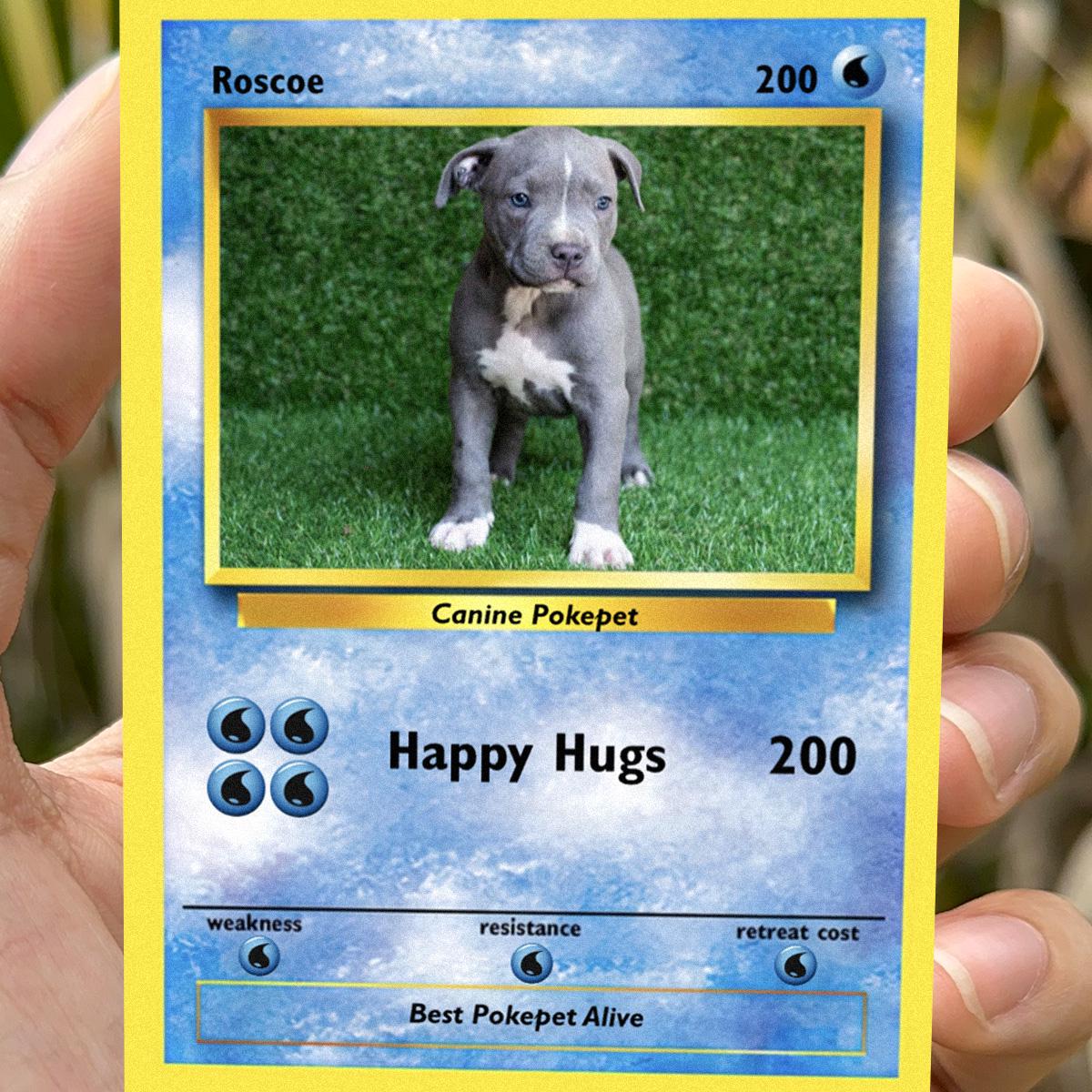 Pokepet Photo Card: Add Your Pets To Our Poke Cards - Personalized Pet Metal Cards- Perfect Gift for Any Occasion - Memorable keepsake