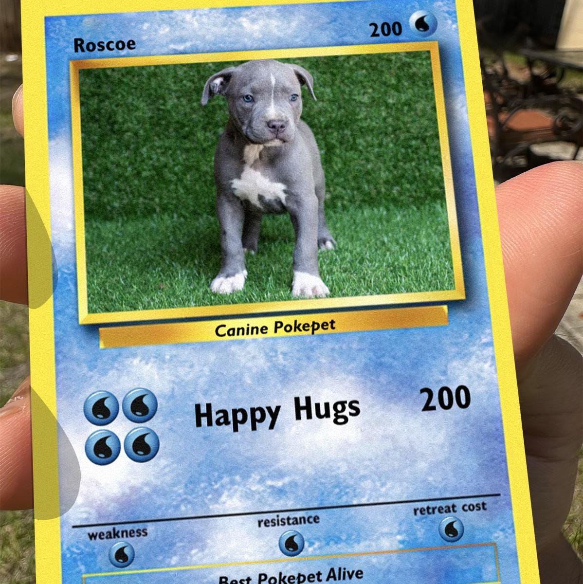 Pokepet Photo Card: Add Your Pets To Our Poke Cards - Personalized Pet Metal Cards- Perfect Gift for Any Occasion - Memorable keepsake